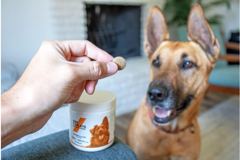 Buy pet products online
