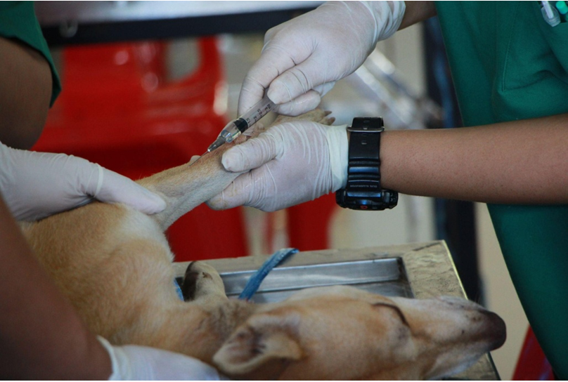Regular tests against dangerous diseases