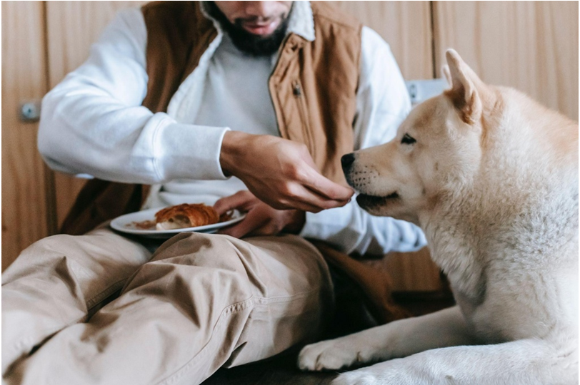 regular check on your pet's body weight
