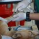 buy veterinary products online